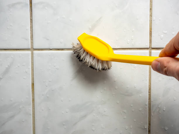 Mold Removal Process in Weldon Spring, MO